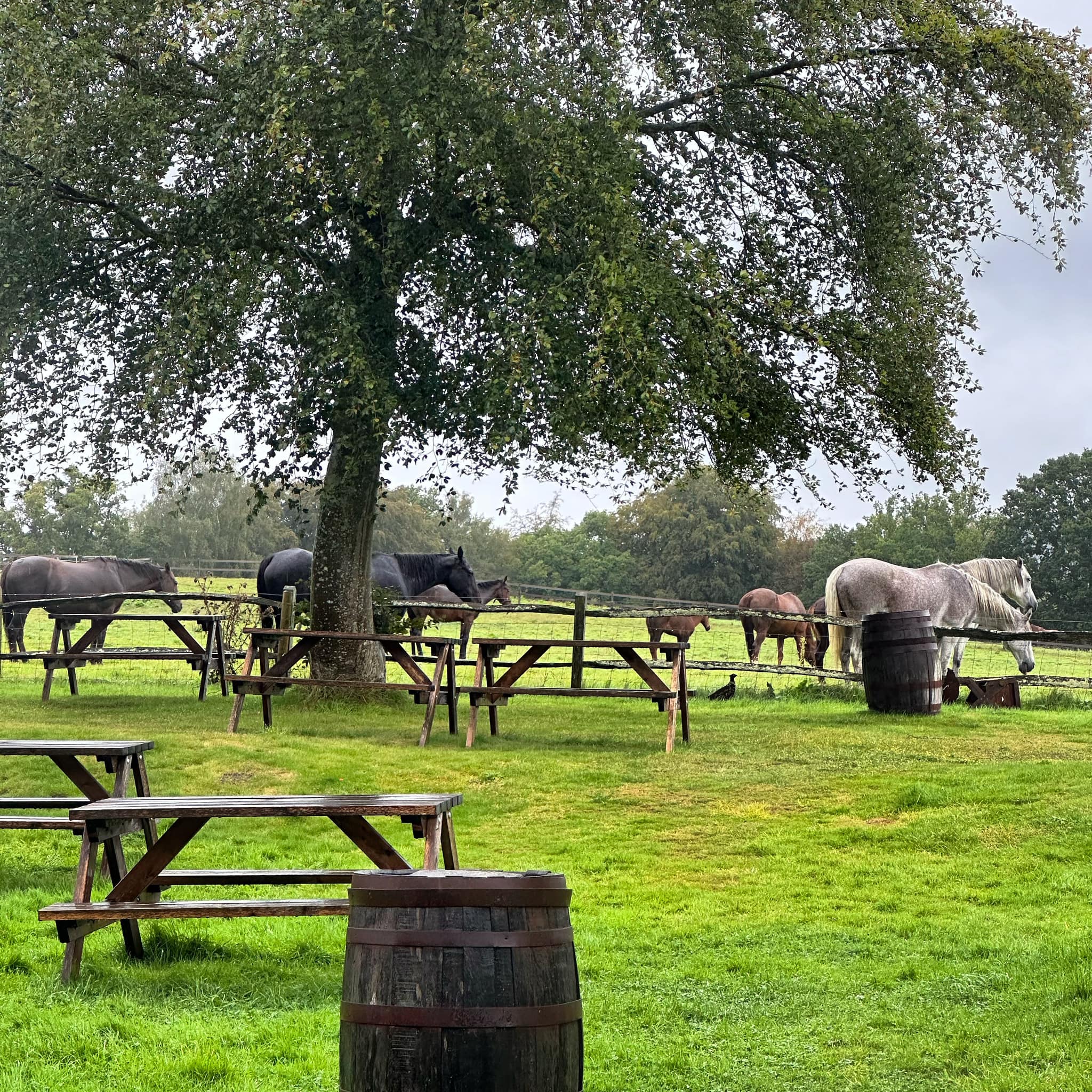 Beer Garden